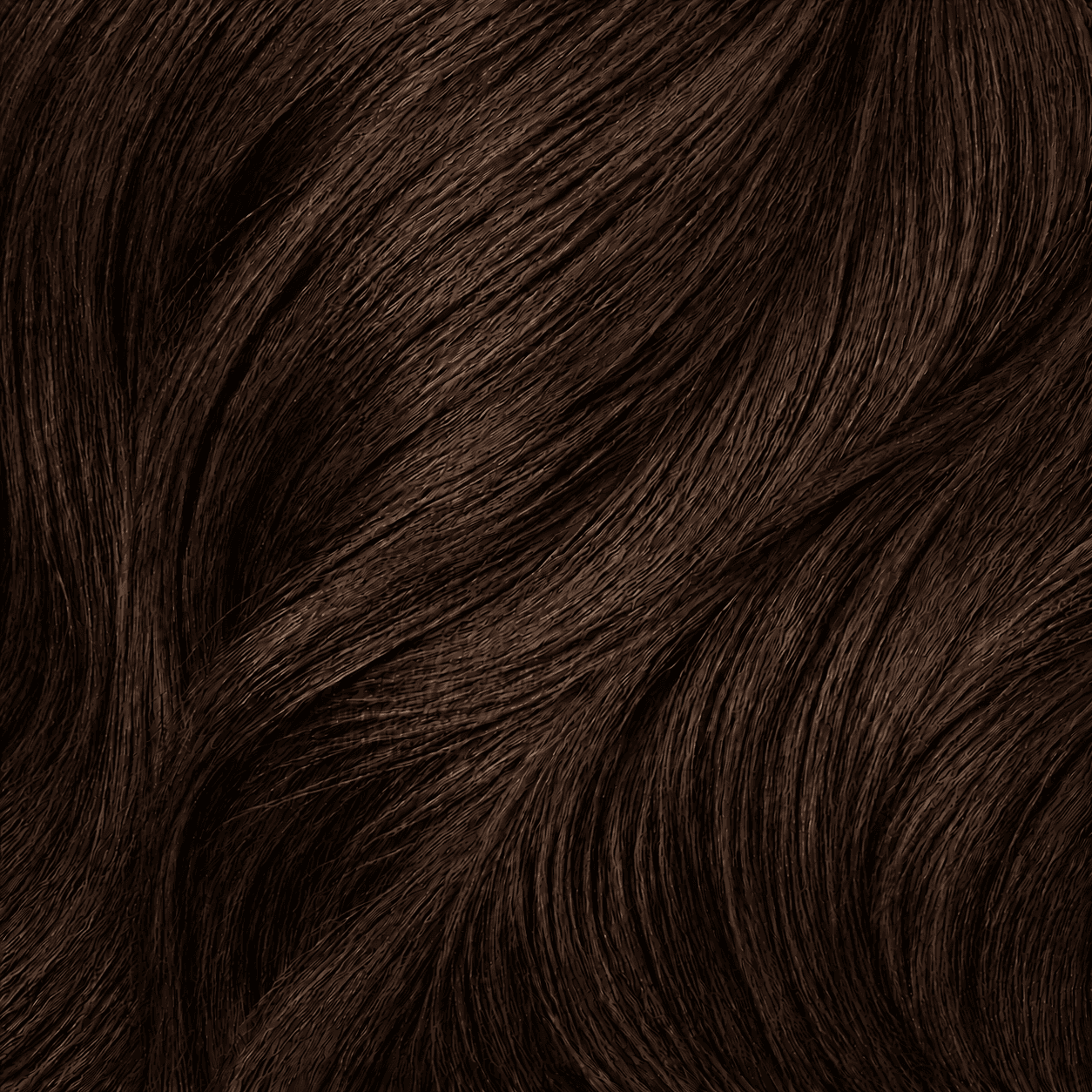 Chestnut coloured hair reference